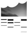Organizer-Logo